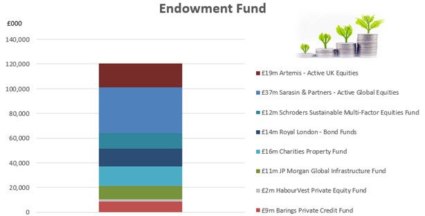 Endowment fund bar chart -  A stacked graph that breaks down how much of the University's £120m Endowment Fund is overseen by external investment managers. The graph depicts the following amounts/companies (top to bottom):  £19m Artemis - Acti