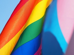 LGBTQ flag resized