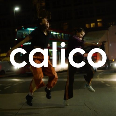 Calico Logo