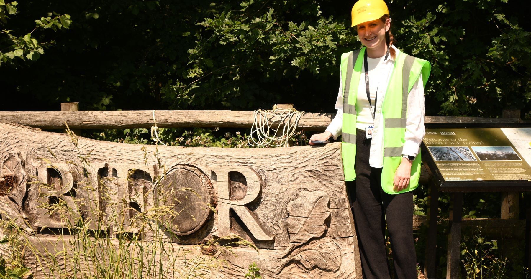 Future Focused Micro Internships Programme