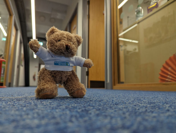 Small cuddly bear walking down a corridor wearing a Birmingham Scholar hoodie.