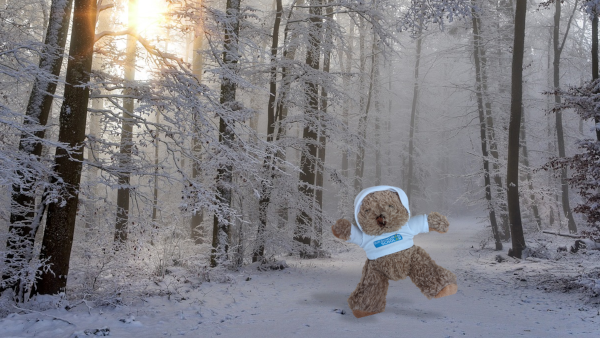 Birmbie, the Birmingham Scholar mascot teddy bear walks along a snowy path surrounded by trees.