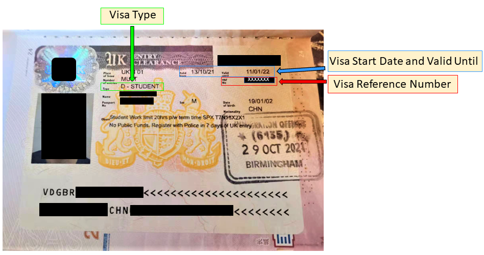 Visa sticker (vignette)