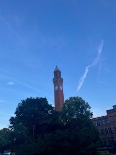 A photo of old Joe taken from below with some trees in the foreground.