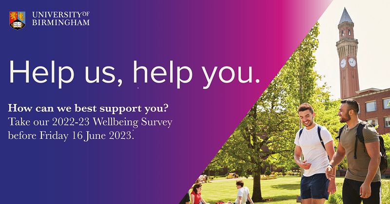 Wellbeing survey Image