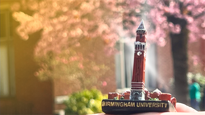 Old Joe competition (1)